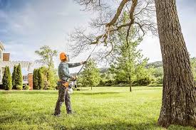 Best Hedge Trimming  in Erie, PA